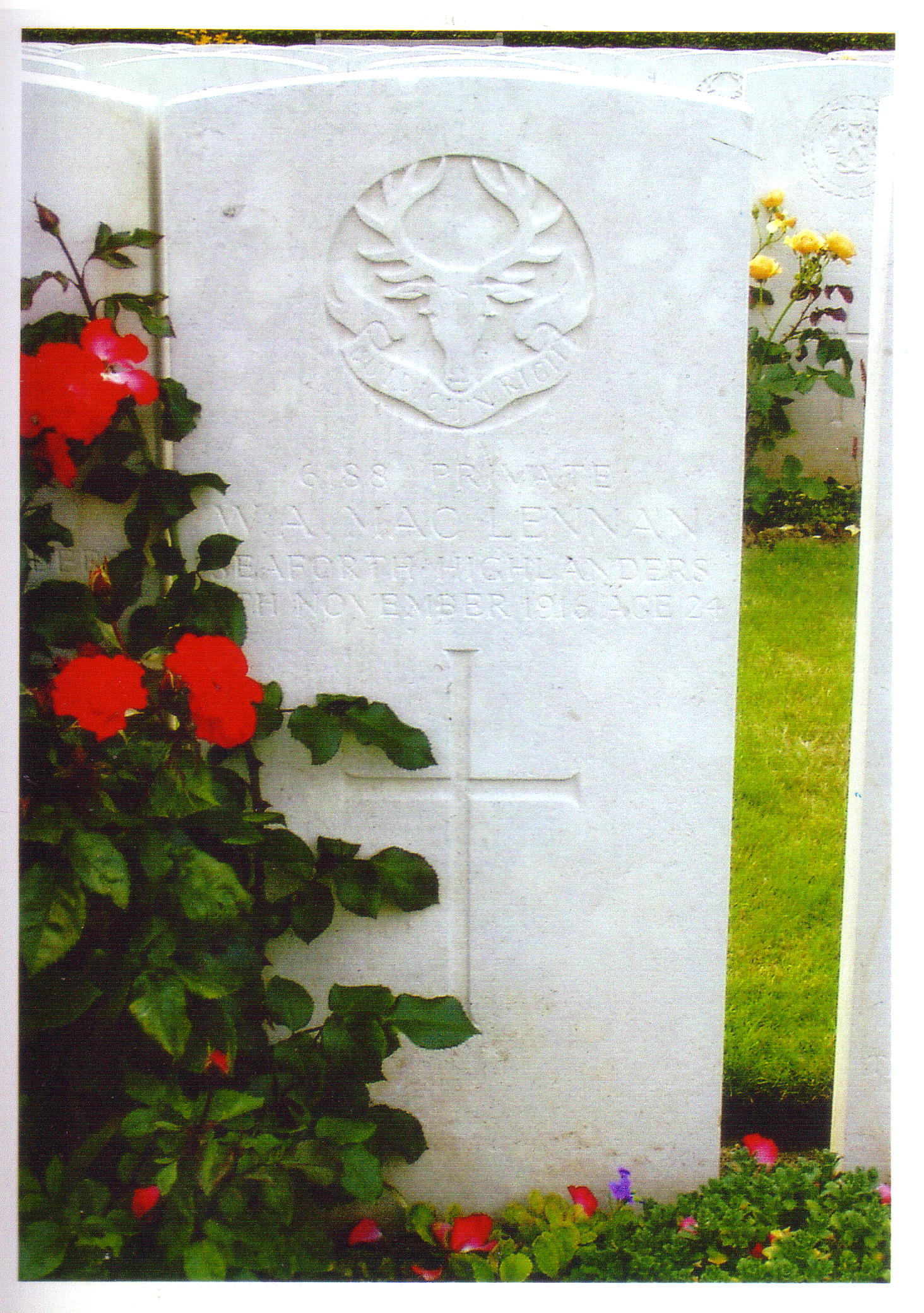 Photo of headstones/William Alexander MacLennan d1916 Mailly Wood Cem